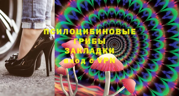 хмурый Дмитровск