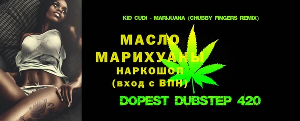 хмурый Дмитровск