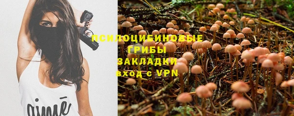 марки lsd Дмитриев