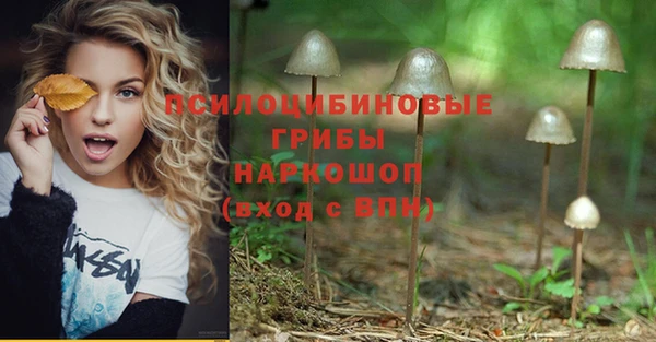 хмурый Дмитровск