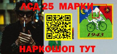 шишки Абакан