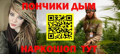 шишки Абакан