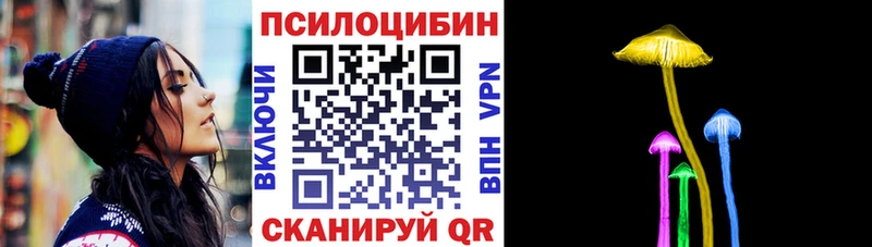 Купить где  Егорьевск  Галлюциногенные грибы Psilocybine cubensis 