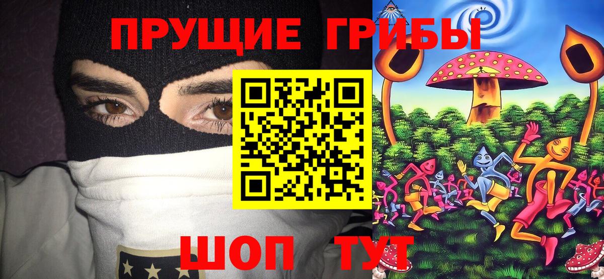 Егорьевск  Галлюциногенные грибы мухоморы  Вход с VPN 