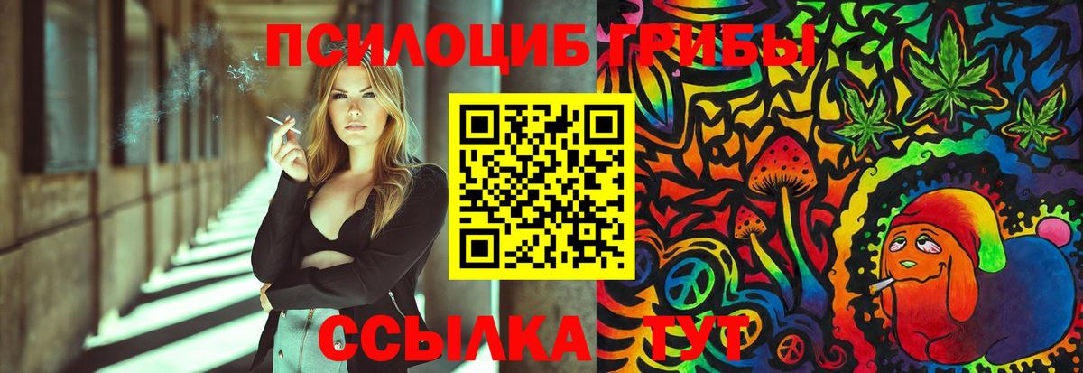 Псилоцибиновые грибы Cubensis  цены наркотик  Егорьевск 