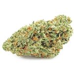 Шишки OG Kush  (Гидропоника, бошки) VHQ в Егорьевске
